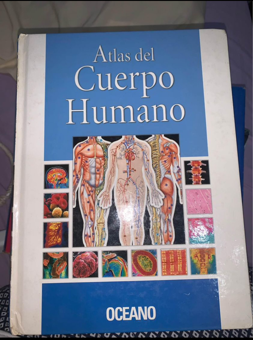 Libro de anatomía  en universidiante